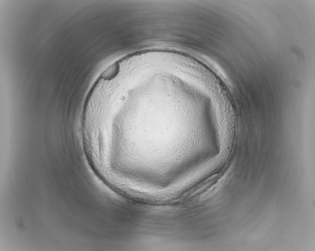 X0000115151247200911171234