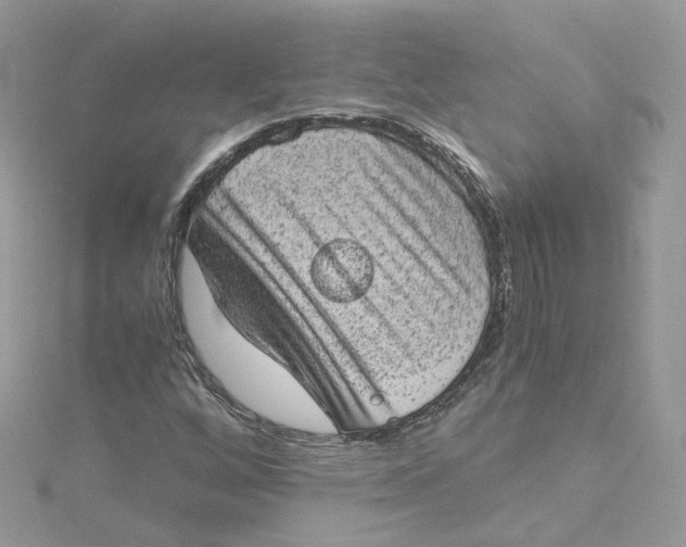 X0000115151256200911171233