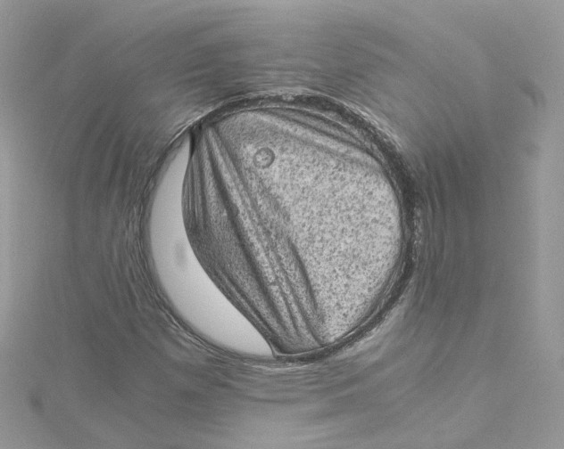 X0000115151257200911171233