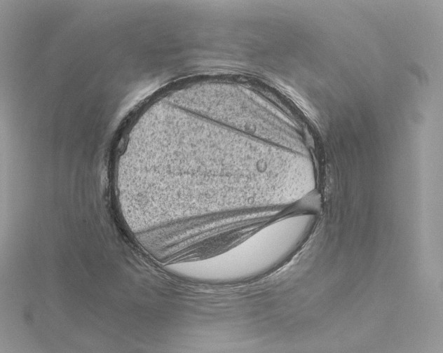 X0000115151261200911171233