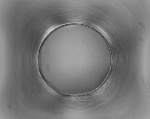 X0000115151291200911171233