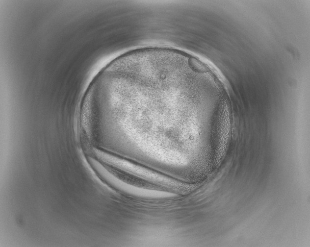 X0000115151295200911171233