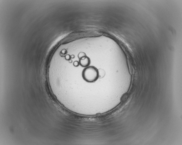 X0000115151317200911171232