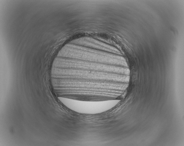 X0000115151345200911171232