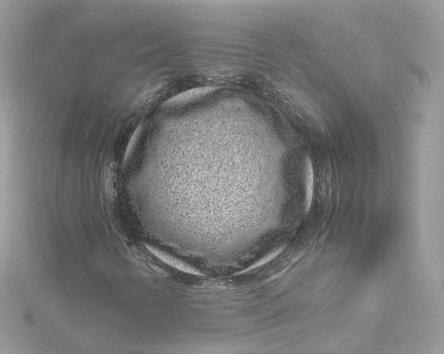 X0000115151346200911171232
