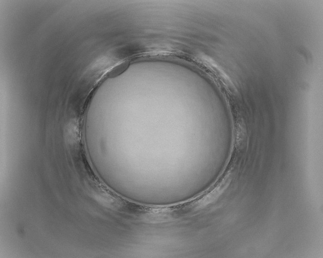 X0000115151353200911171232