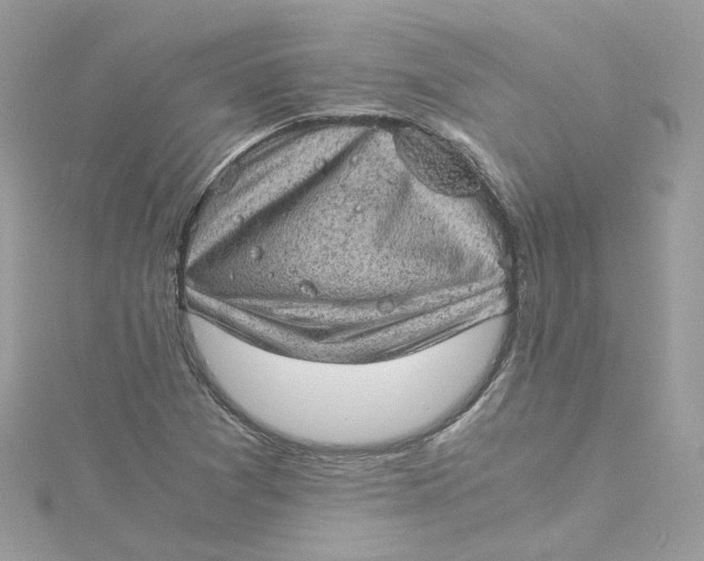 X0000115151361200911171232