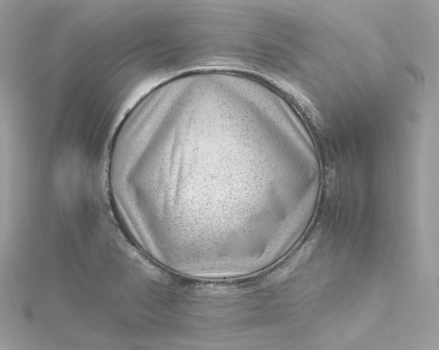 X0000115151374200911171232