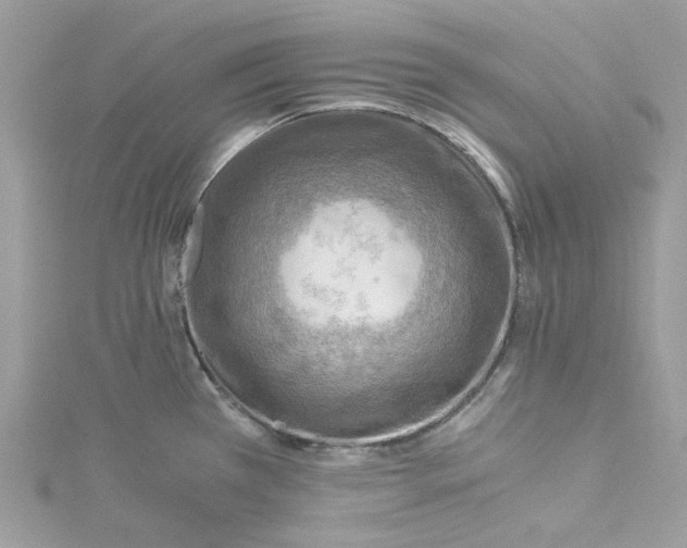 X0000115151385200911171232