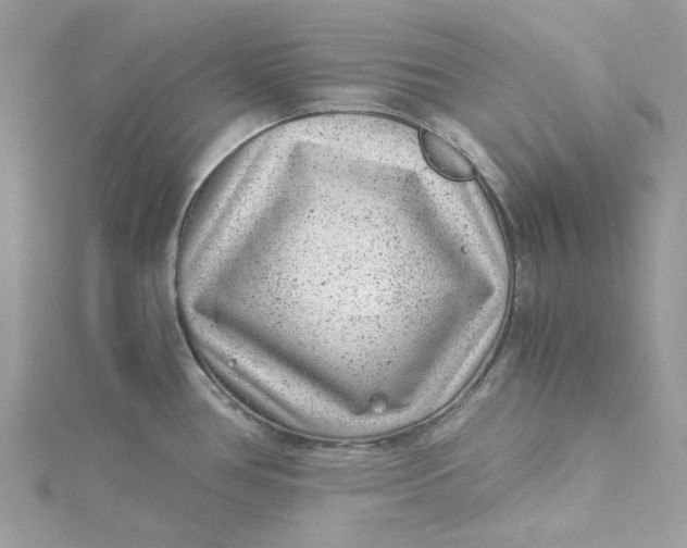 X0000115151386200911171232
