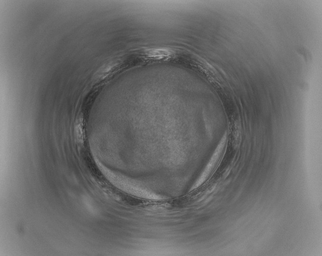 X0000115151394200911171231