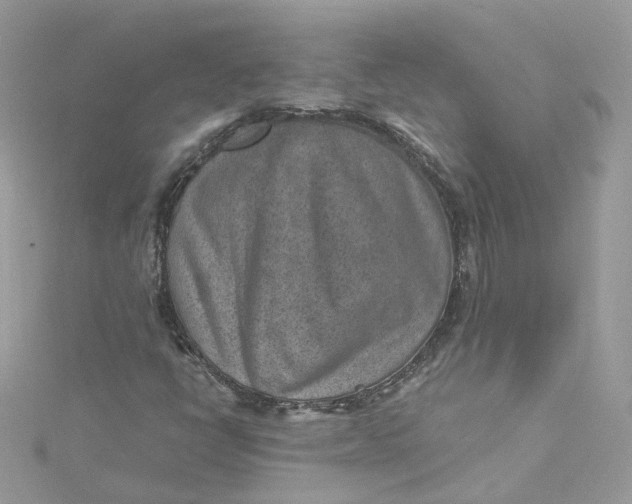 X0000115151398200911171231