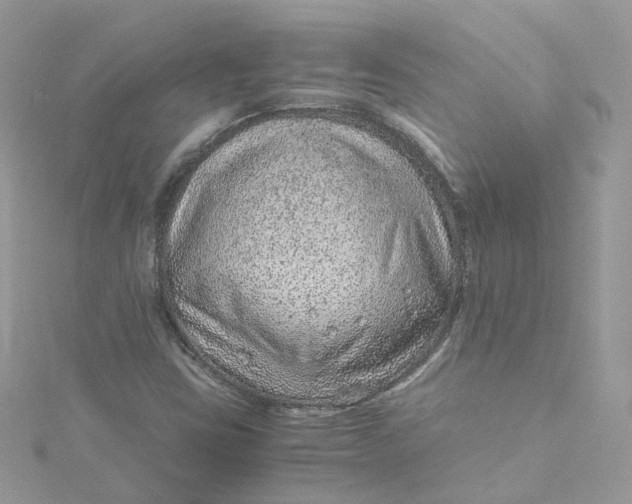 X0000115151403200911171231