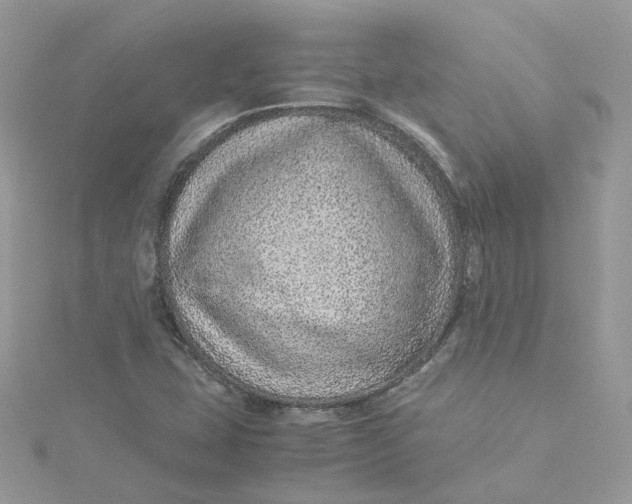 X0000115151407200911171231