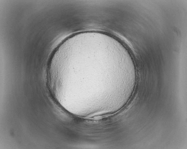 X0000115151415200911171231