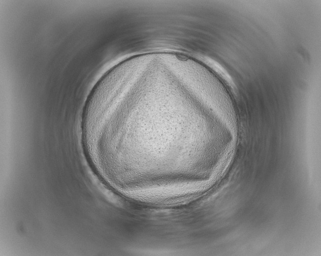 X0000115151431200911171231
