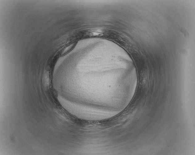 X0000115151442200911171231