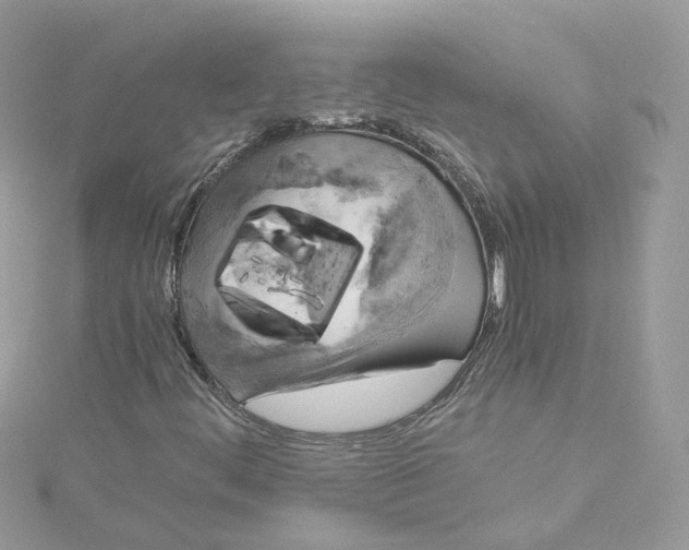 X0000115151444200911171231