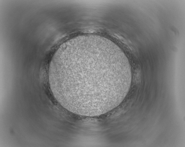 X0000115151446200911171231