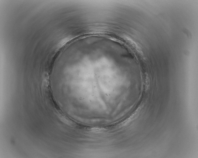 X0000115151449200911171231