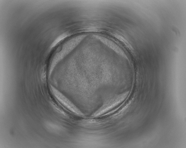 X0000115151450200911171231