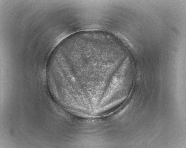 X0000115151457200911171231