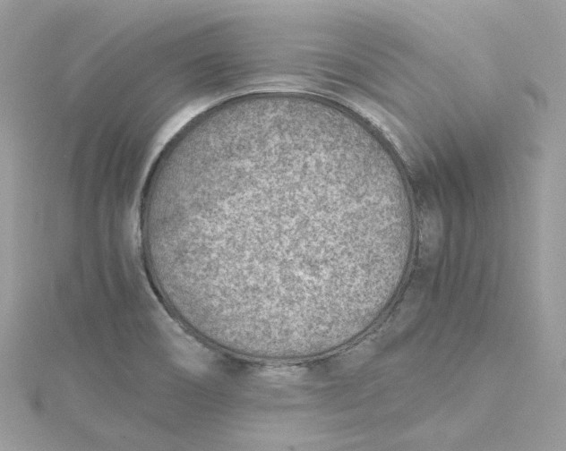 X0000115151466200911171231