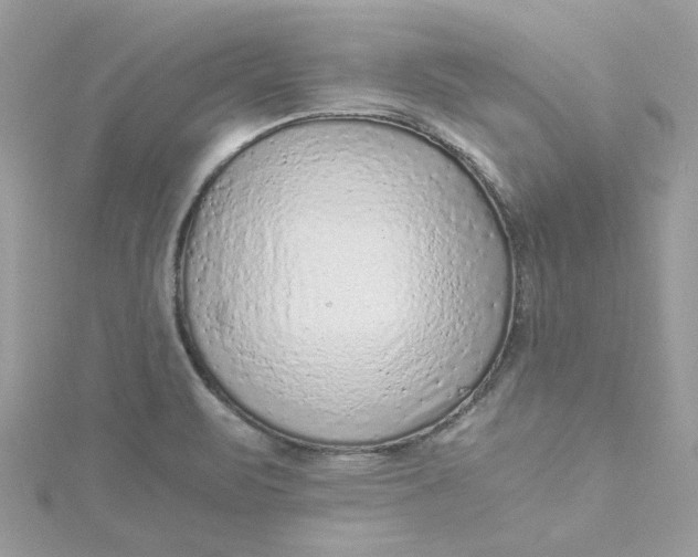 X0000115151471200911171230