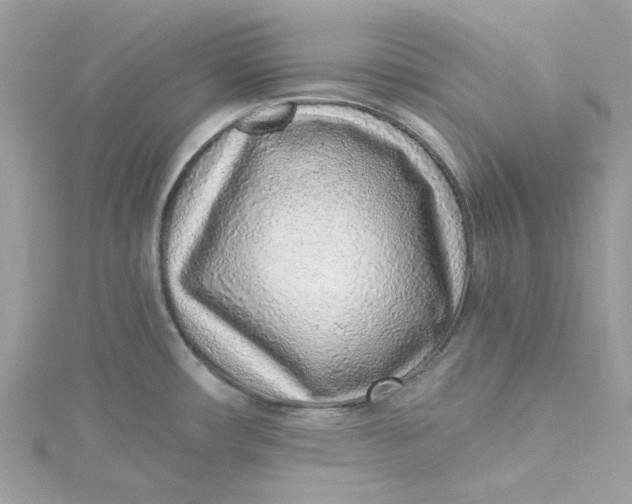 X0000115151482200911171230