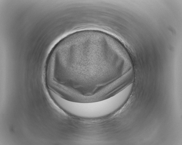 X0000115151518200911171230