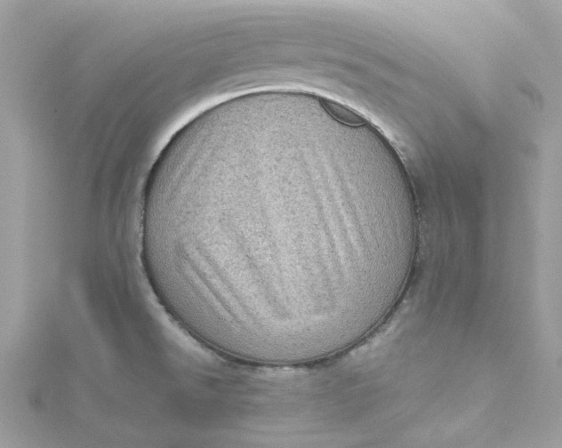 X0000115151526200911171230