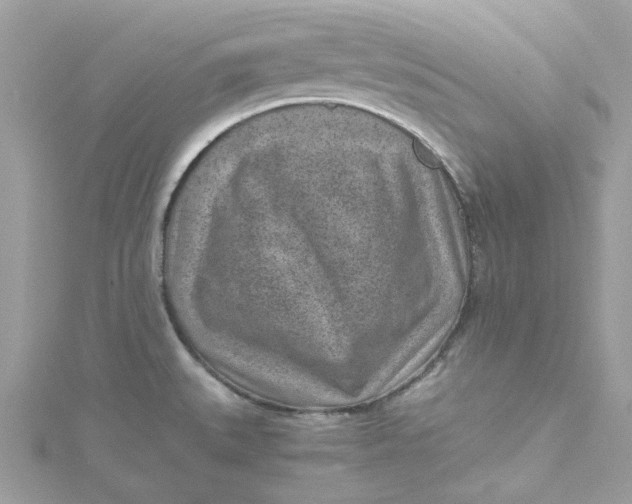 X0000115151527200911171230