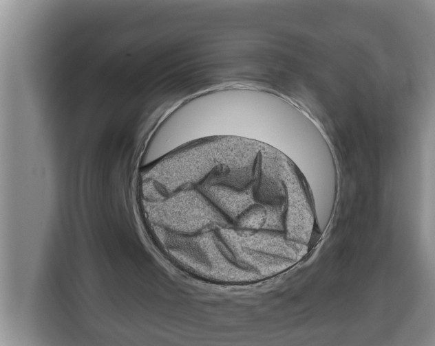 X0000115150001200911241538