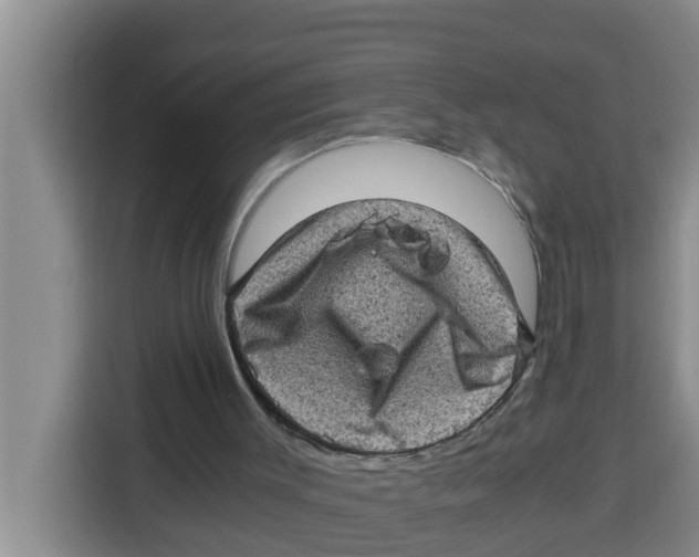 X0000115150003200911241538