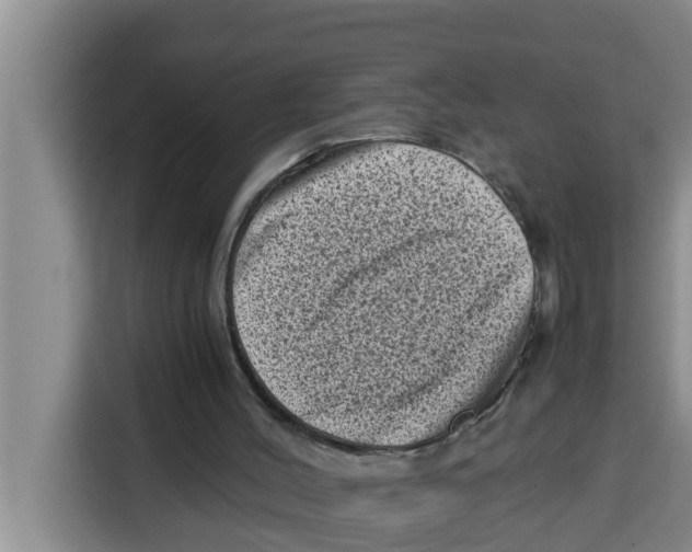 X0000115150004200911241538