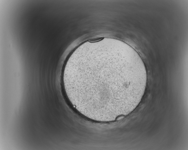 X0000115150007200911241538