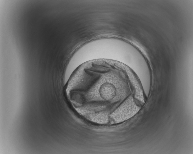 X0000115150009200911241538