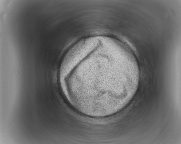 X0000115150010200911241538