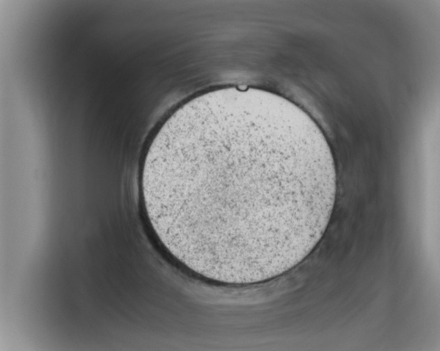 X0000115150011200911241538