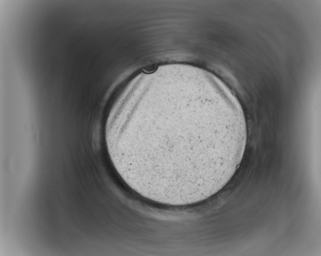 X0000115150012200911241538