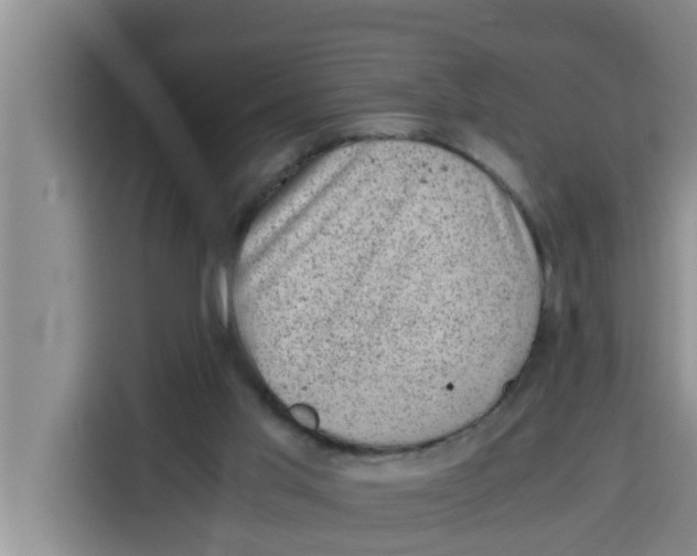 X0000115150013200911241538