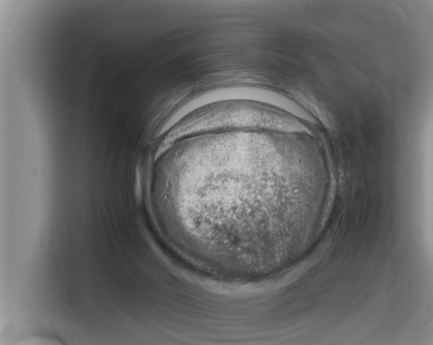 X0000115150014200911241538