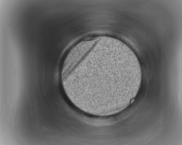 X0000115150016200911241538