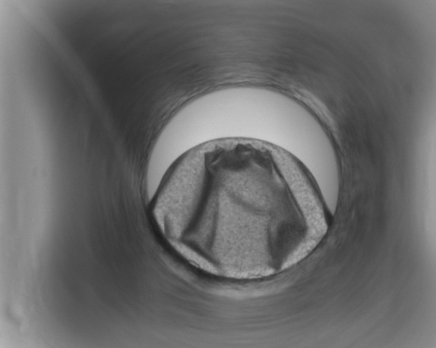 X0000115150017200911241538