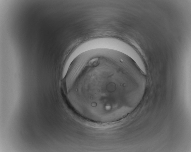 X0000115150019200911241538