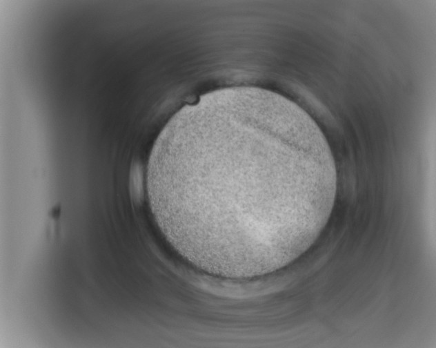 X0000115150022200911241538