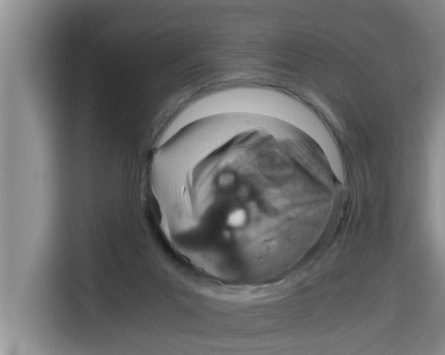 X0000115150023200911241538