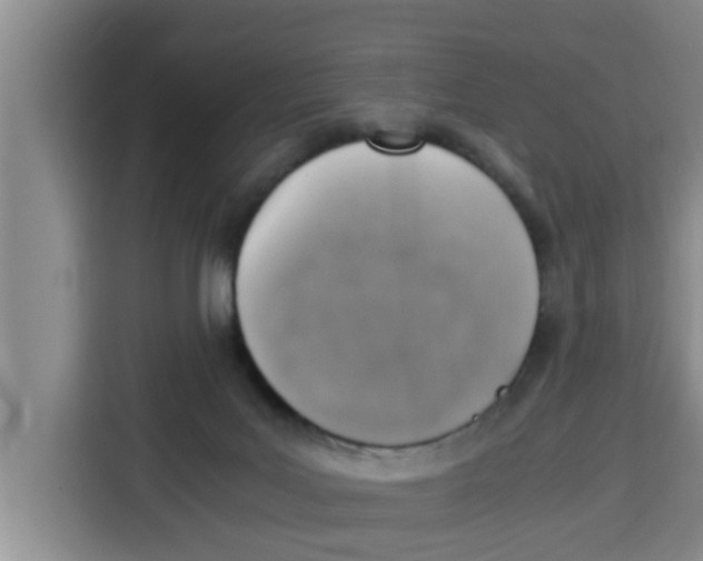 X0000115150027200911241538