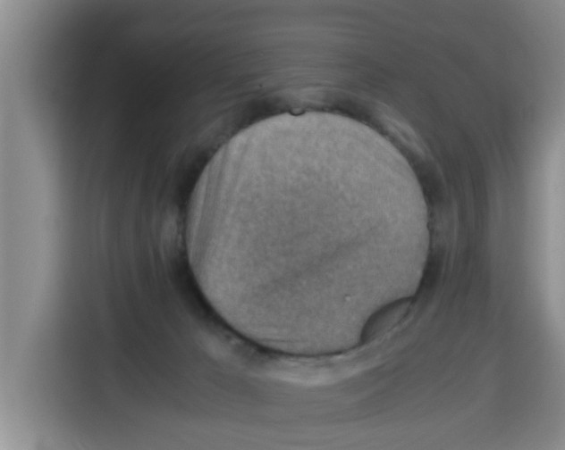 X0000115150029200911241538