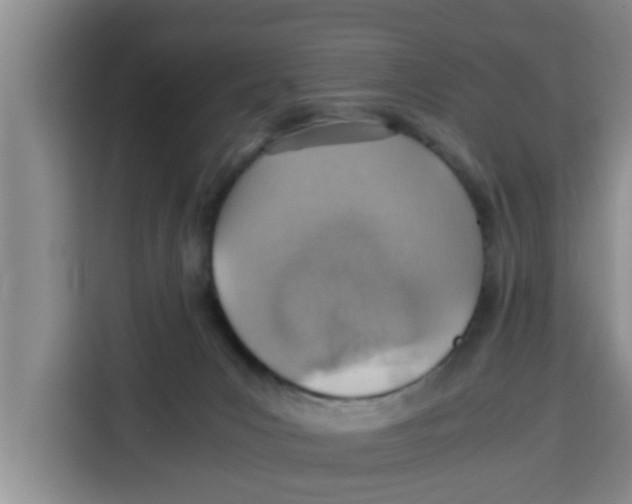 X0000115150031200911241538